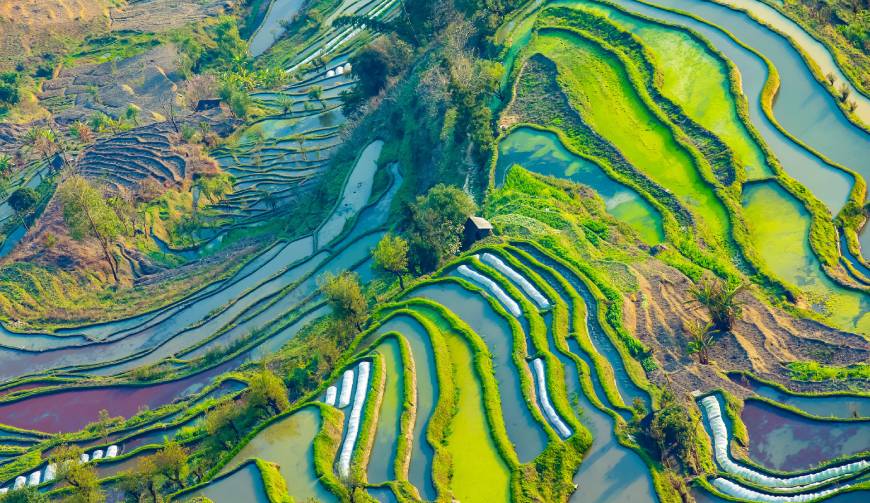 走进清丰县TVC拍摄：解锁本地化场景与创意镜头的完美融合